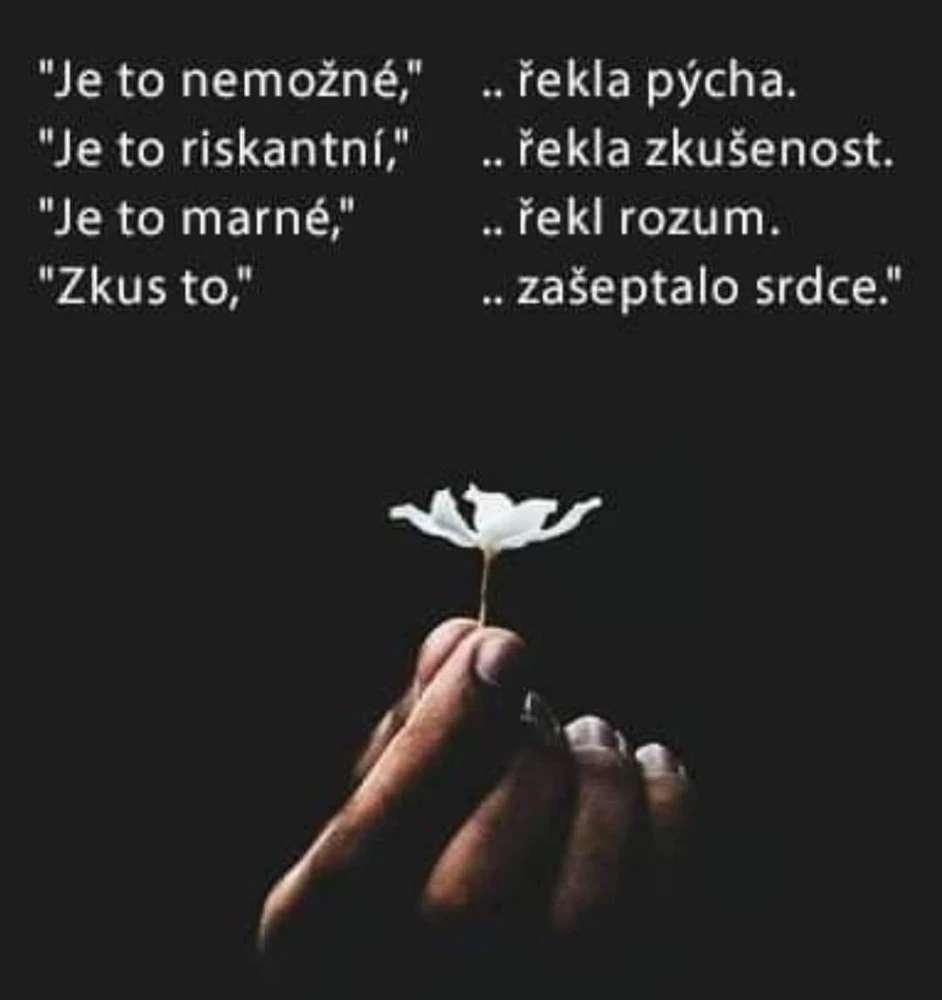 Obrázek nahrál [pozastavený účet]