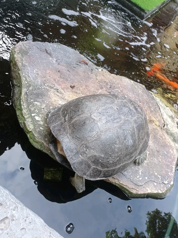 Ảnh do Lily tải lên