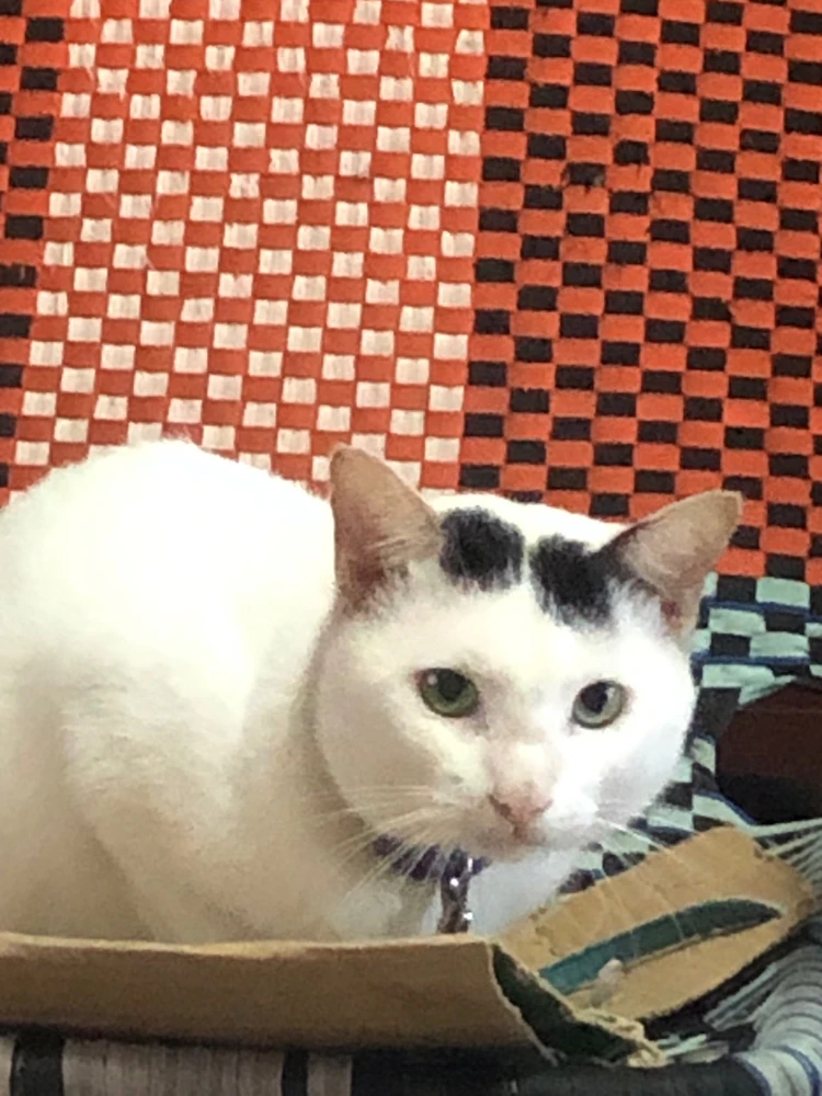 Ảnh do Ti-an tải lên