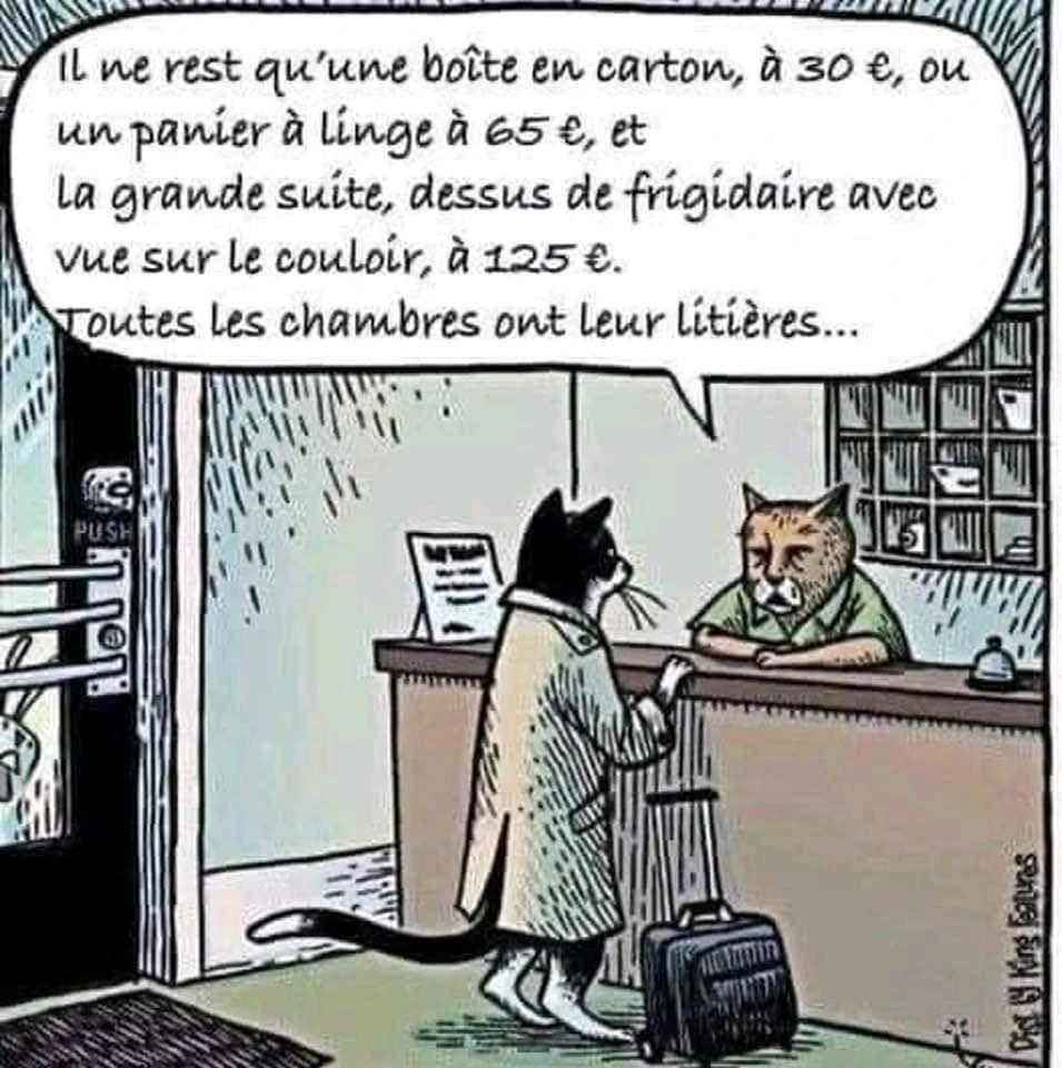 Image ajoutée par Lionel