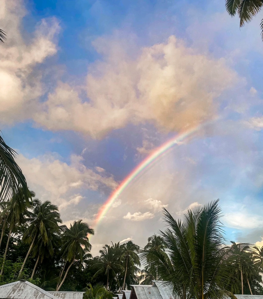 Clear blue sky with a colourful rainbow spread in the morning sky after rain. Birds singing. green tree leaves swaying air 