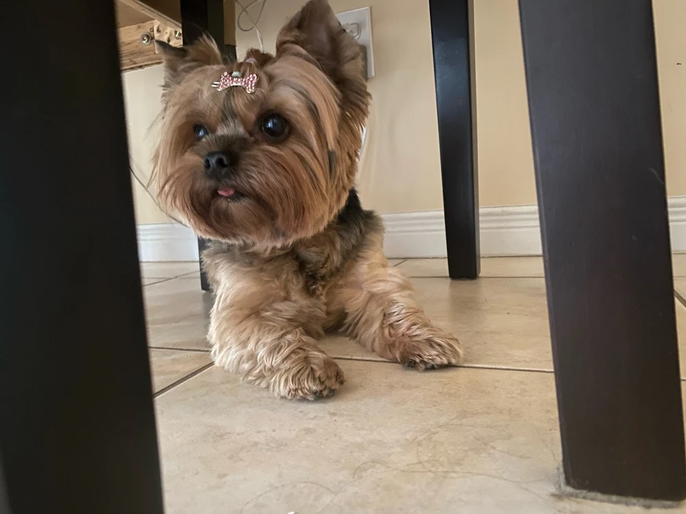 Image uploaded by monzi