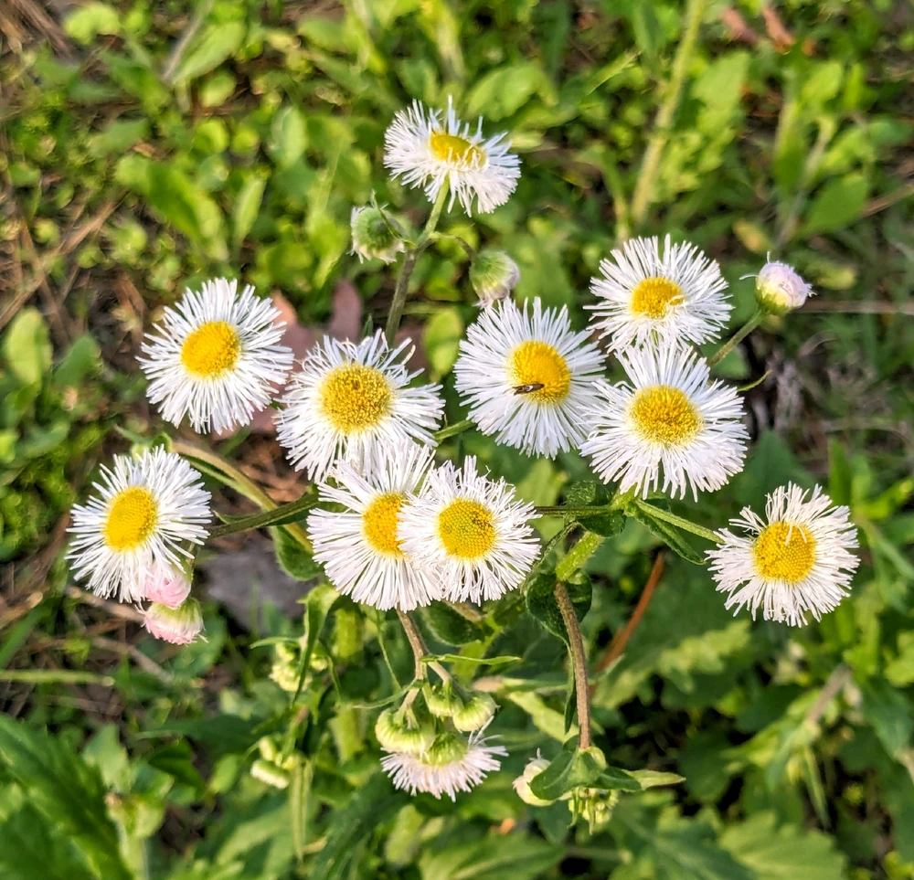 Image uploaded by Kelly