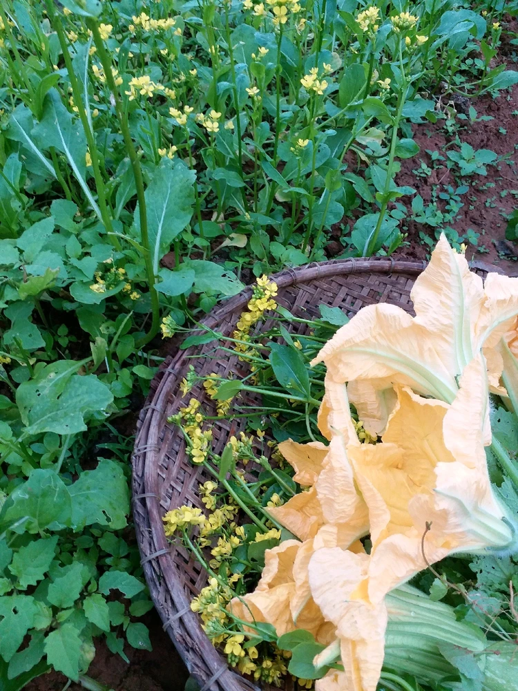 Ảnh do Lily tải lên