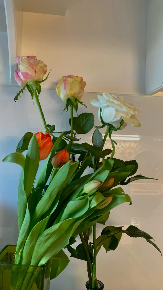 Zsófi által feltöltött kép