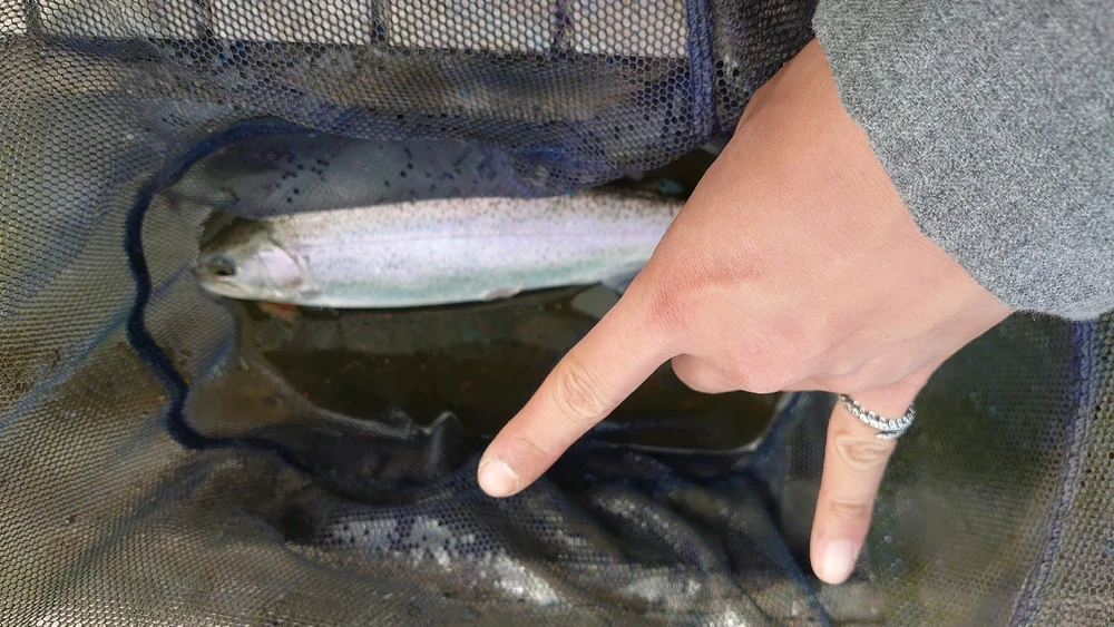 ubtmがアップロードした画像