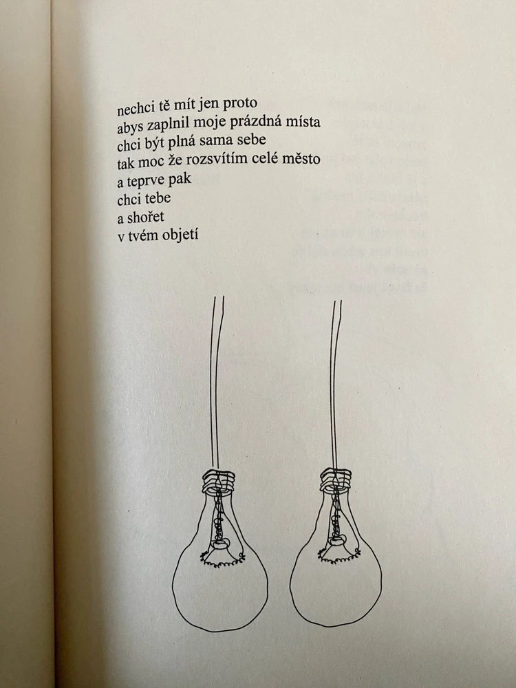 Obrázek nahrál Irónia