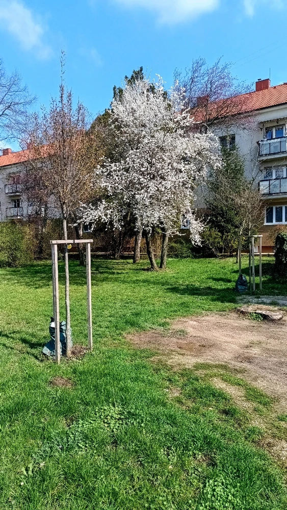 I-upload ni Vladislav Efimov ang larawan