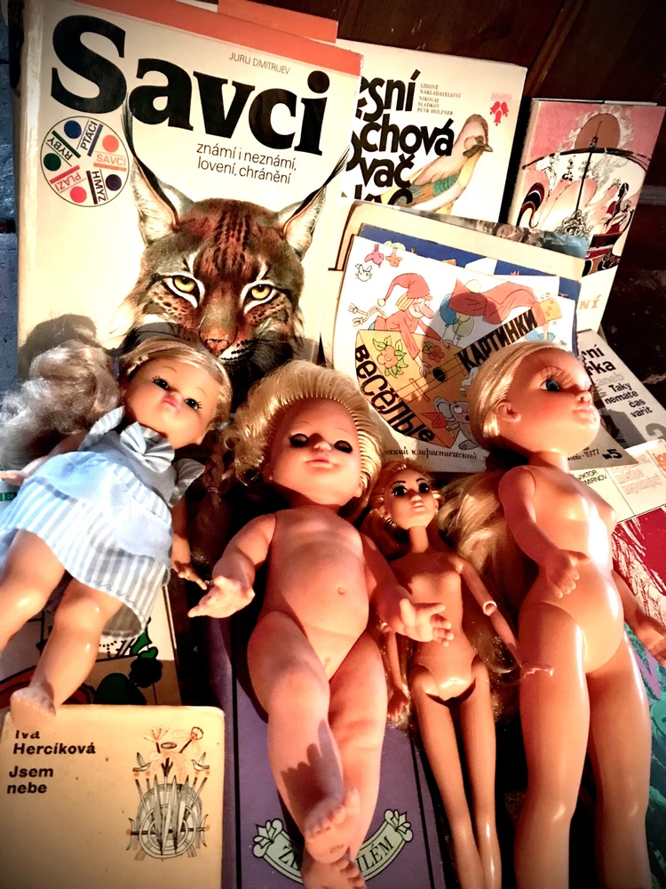 Obrázek nahrál Ledová Kralovna