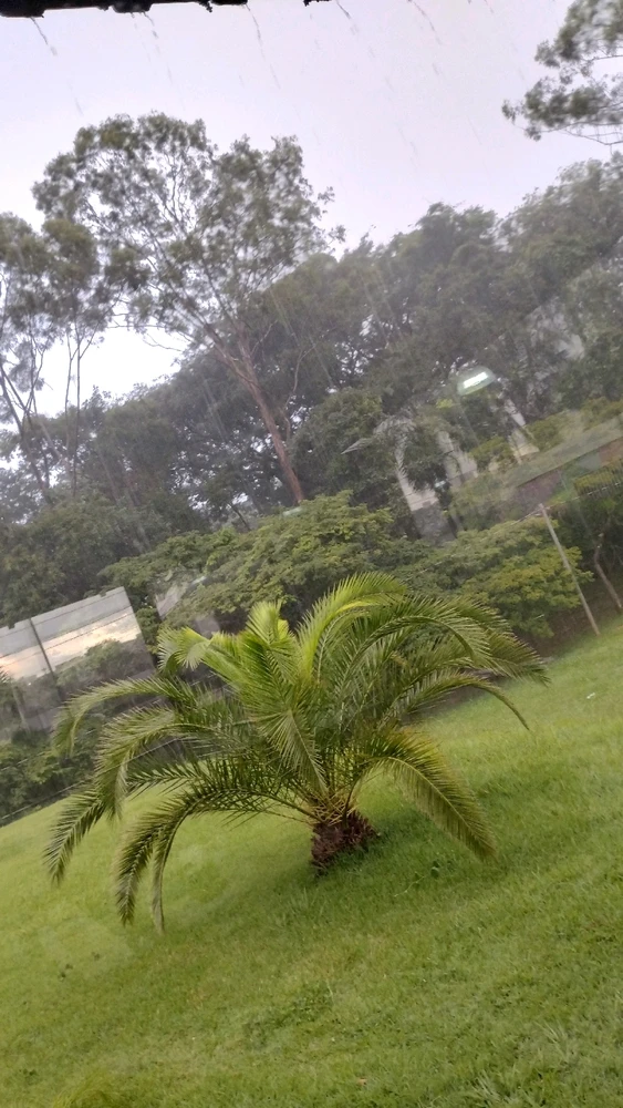 Imagem enviada por Lucas