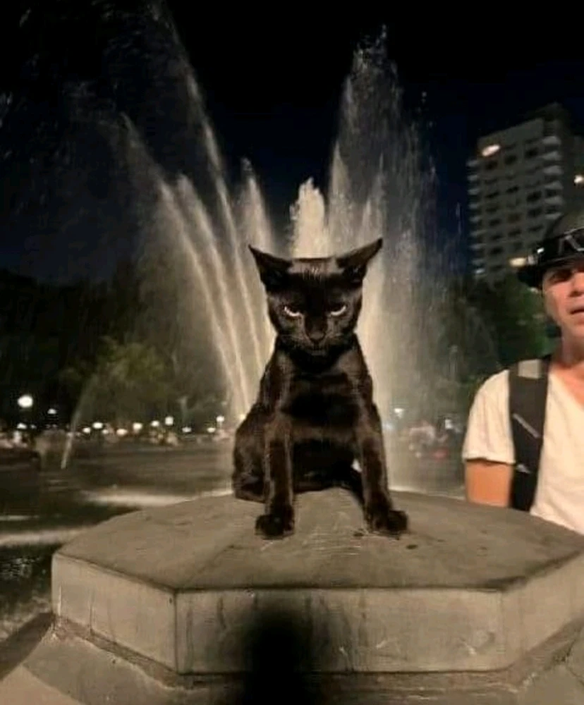 Bild hochgeladen von ⭐MISFIT⭐