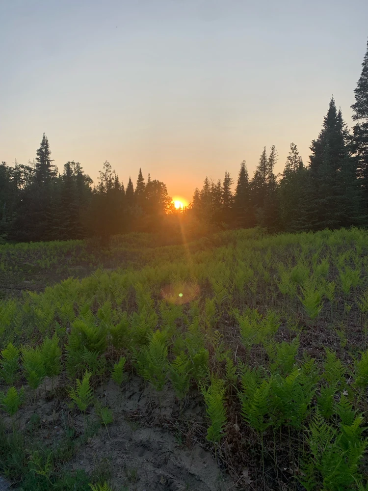Image uploaded by Logan