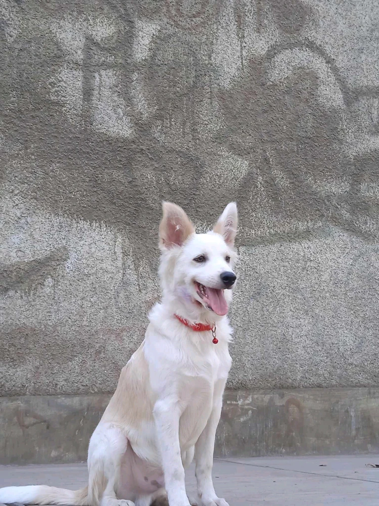 Imagen subida por Skayd