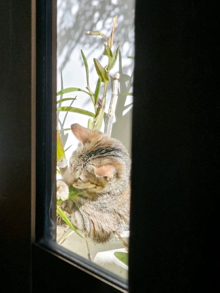 Ảnh do Minh Trí tải lên