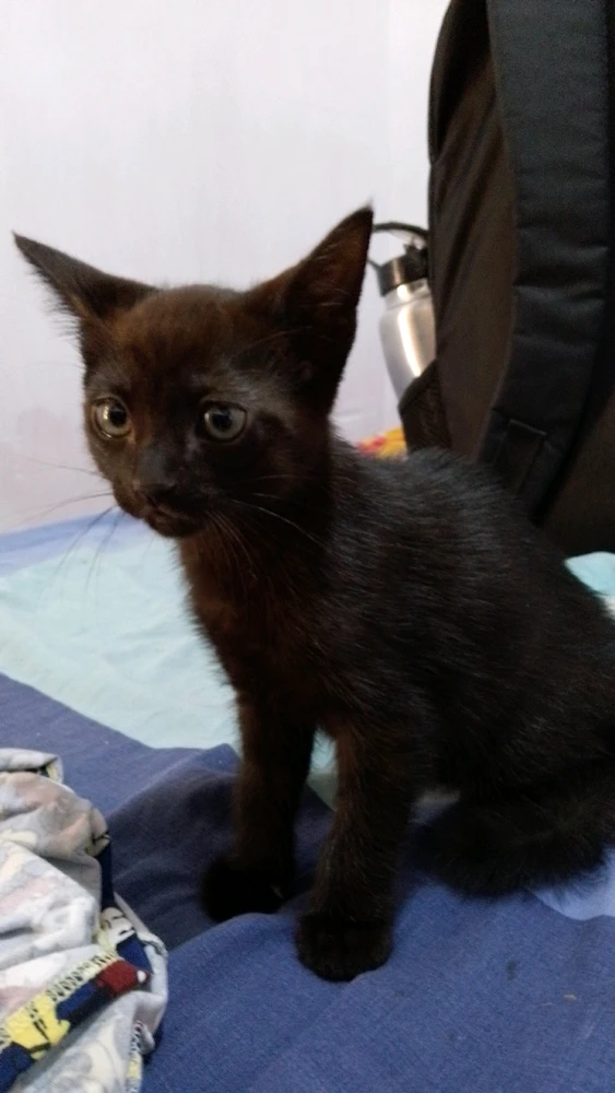 Imagen subida por Eli