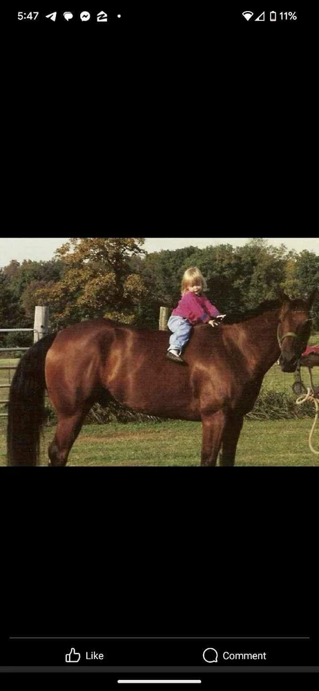 Image uploaded by Morgan