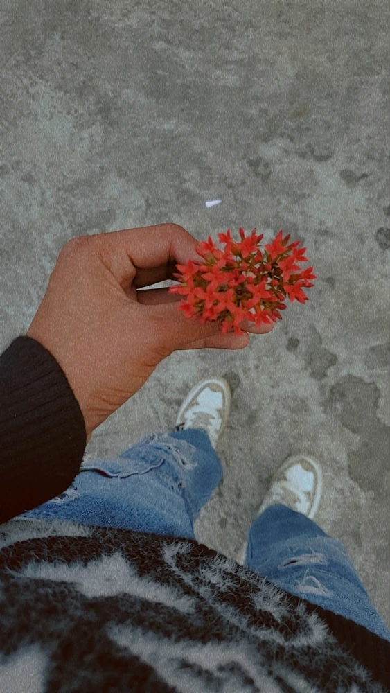 Image uploaded by Prem
