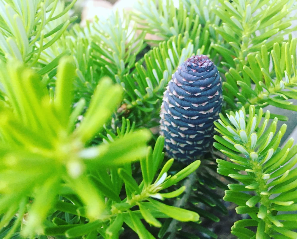 Obrázek nahrál Jaroslav