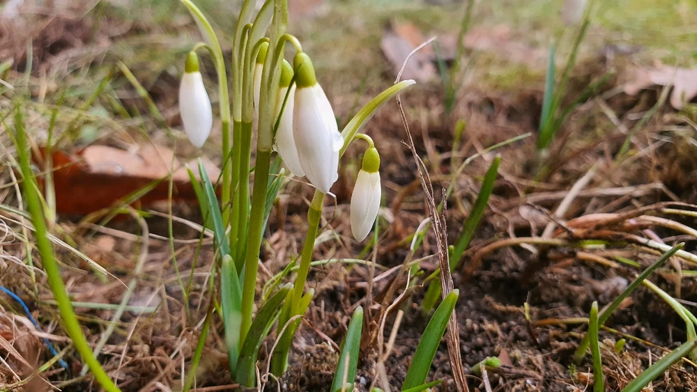 Image uploaded by Øyvind
