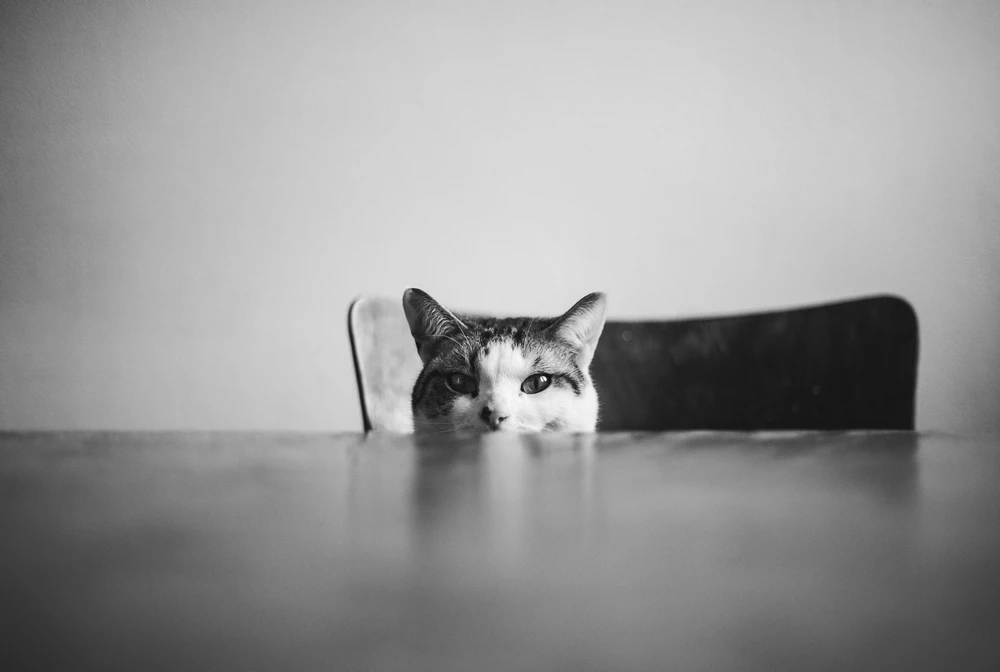 Obrázek nahrál Filip