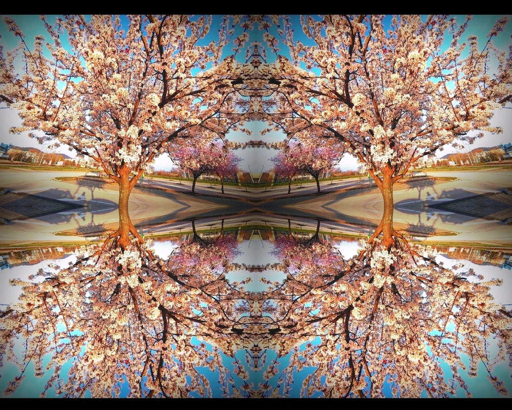 Farkas Bálint által feltöltött kép