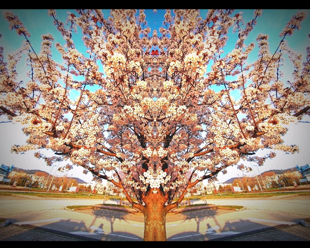 Farkas Bálint által feltöltött kép