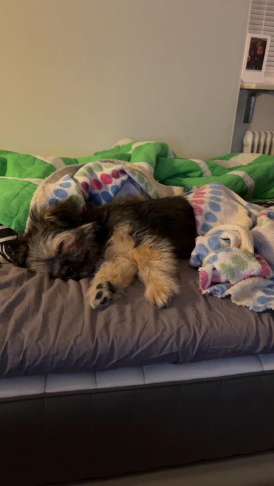 Image uploaded by Gustav