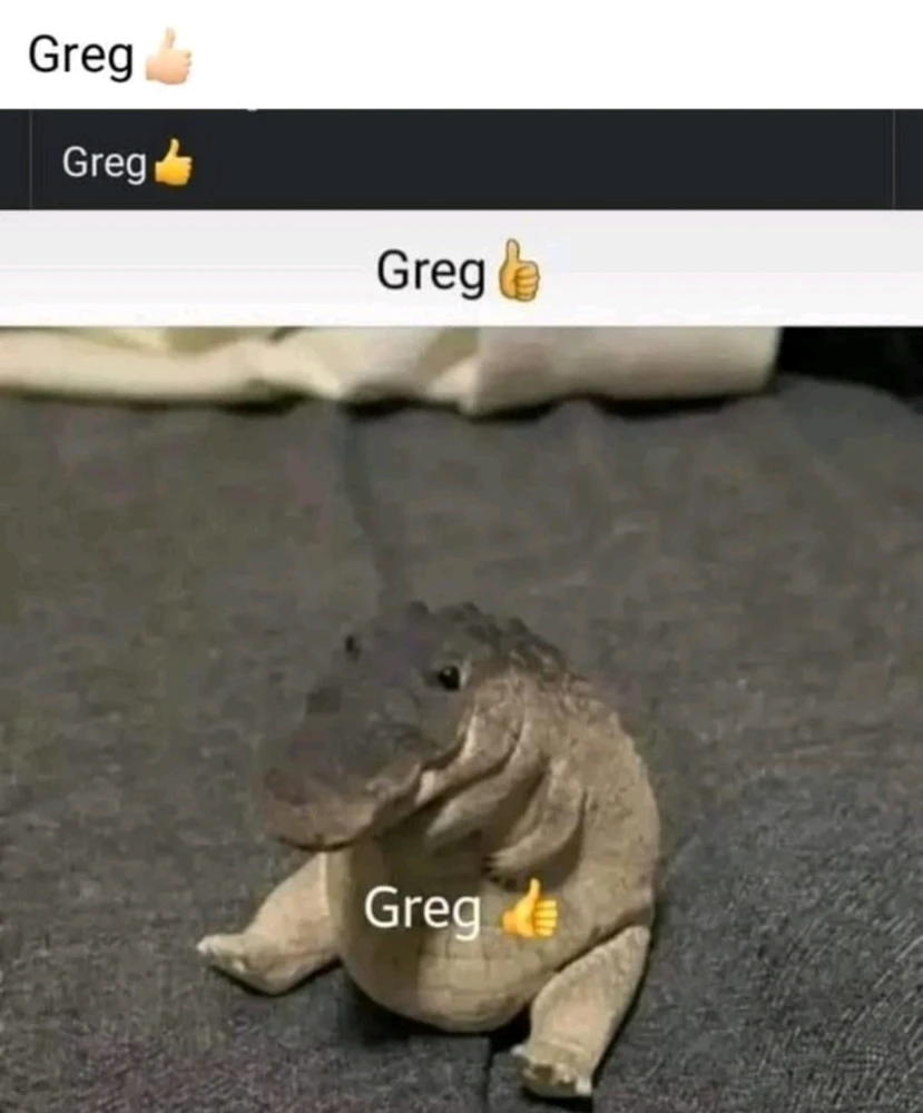 Greg👍