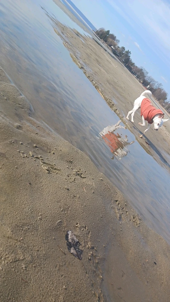 Image uploaded by DevilsDaughter