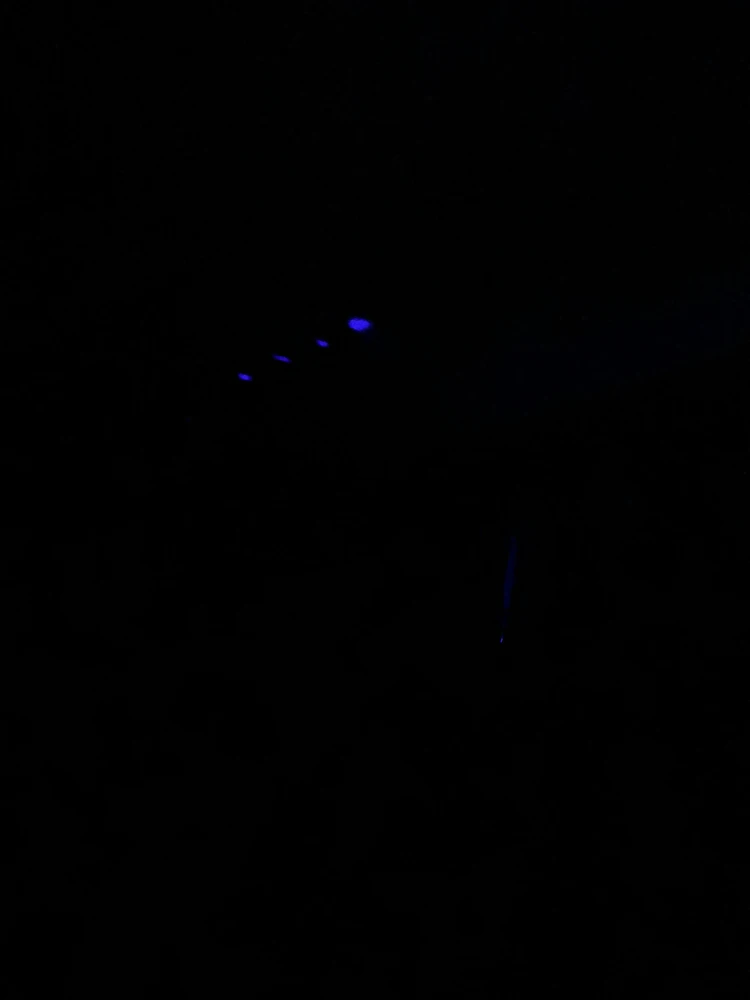 由Kevin上传的图片