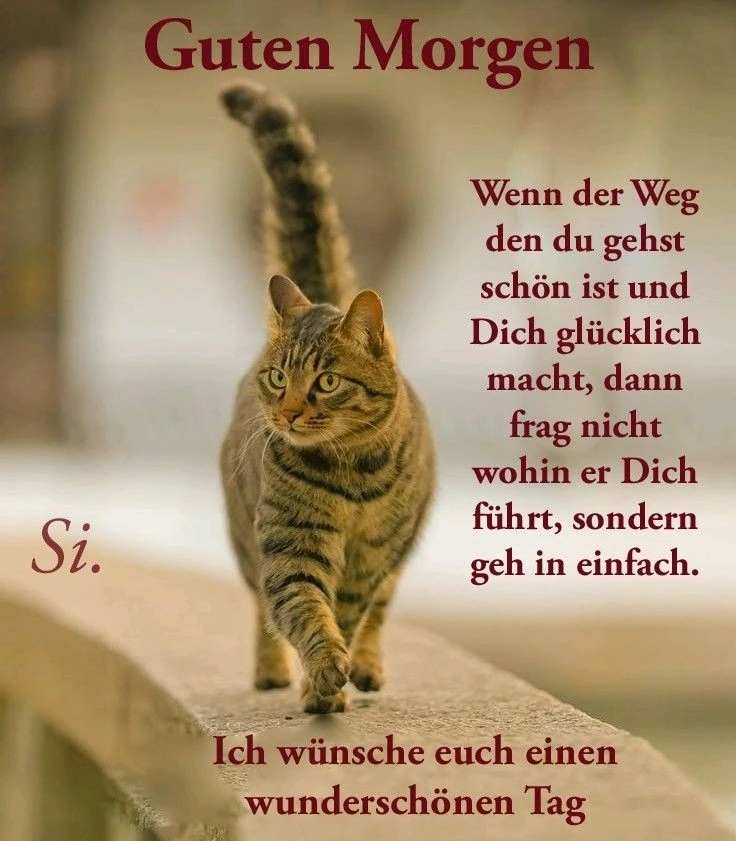 Bild hochgeladen von Thomas