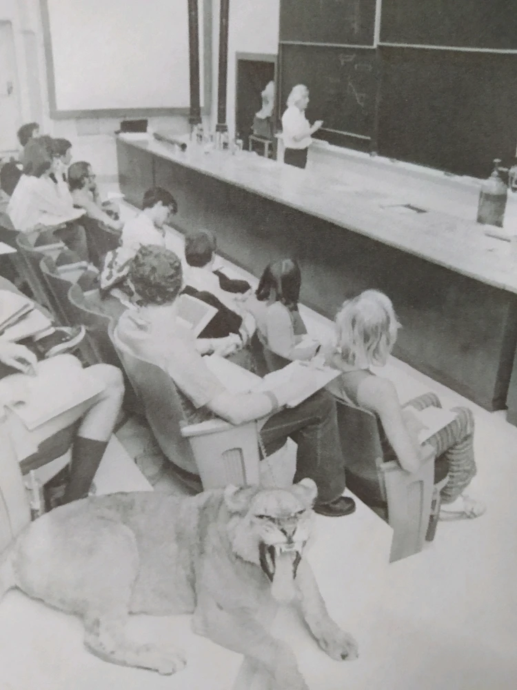 Bild hochgeladen von Marius