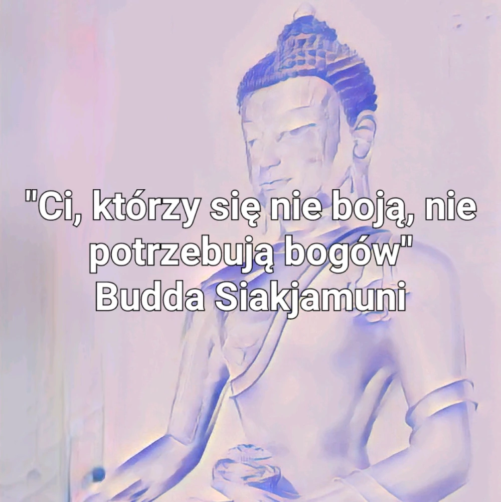 Zdjęcie dodane przez Happy