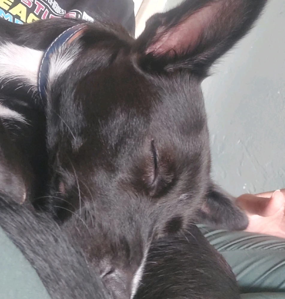 Imagem enviada por Tsuki