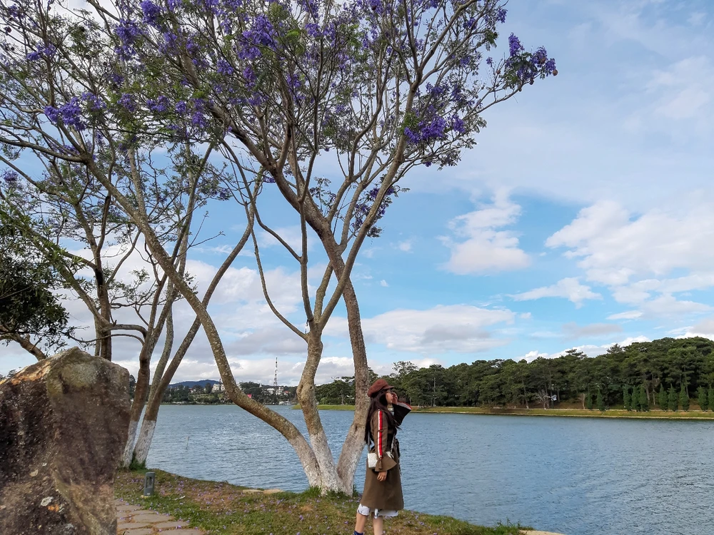 Image uploaded by Thúy
