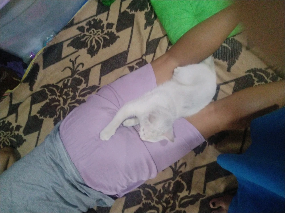 Gambar diunggah oleh Gembul