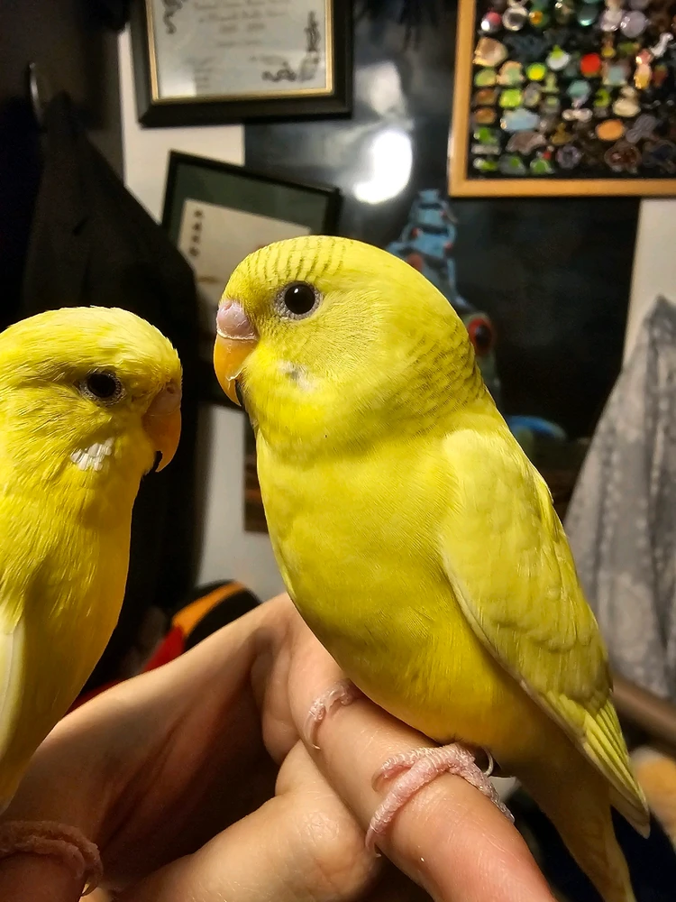 Image uploaded by Damaris