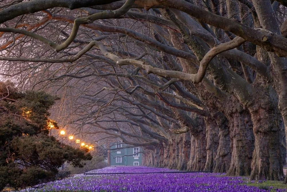 Zdjęcie dodane przez Martee