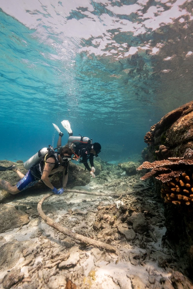 Image uploaded by Psi