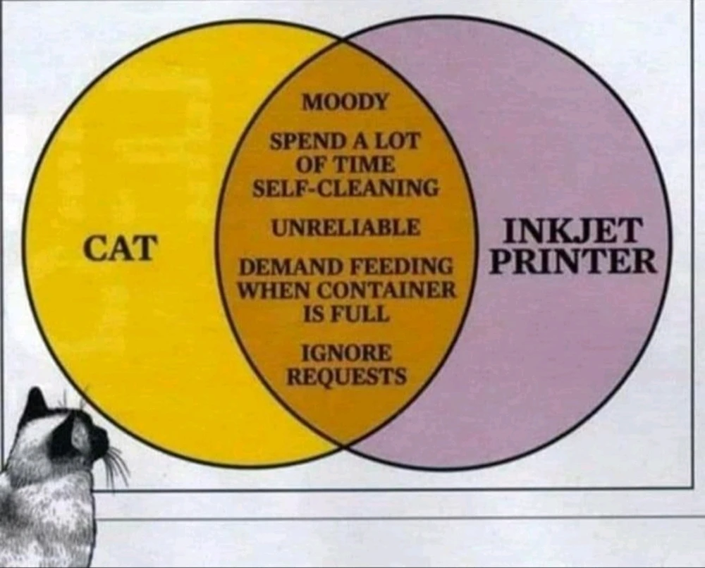 Bild hochgeladen von Bastian