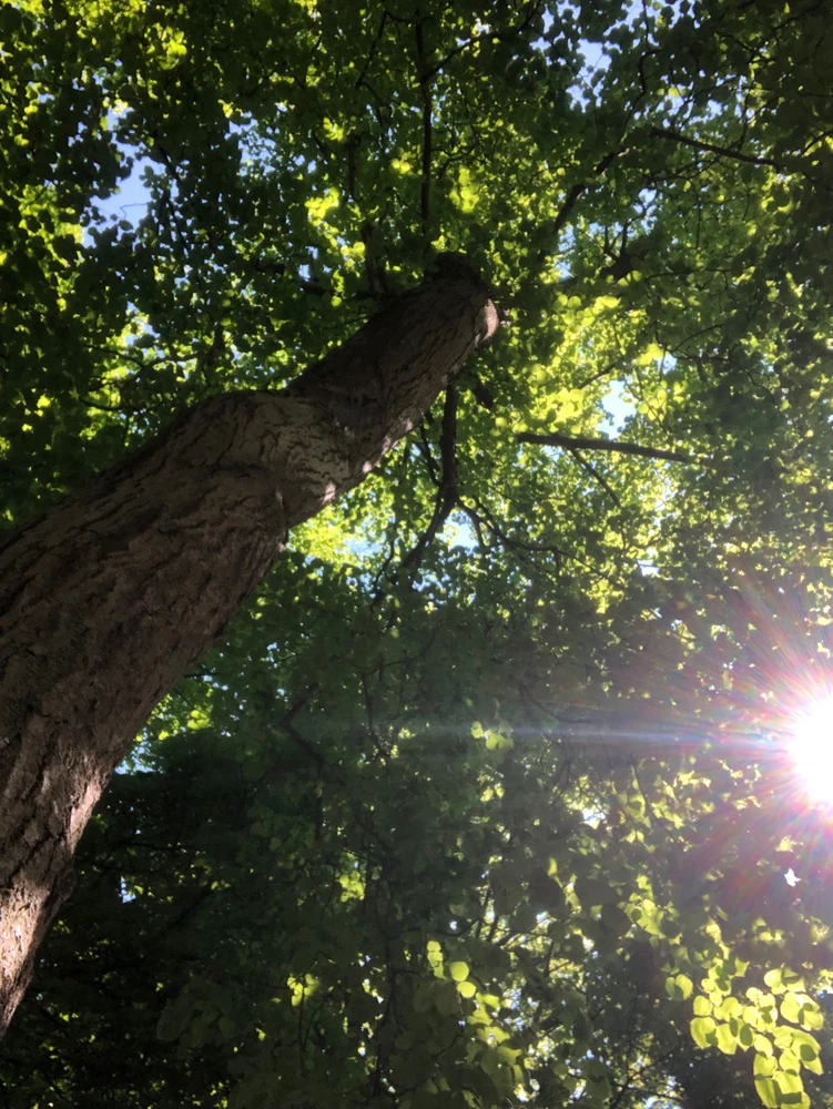 Зображення завантажив Владислава