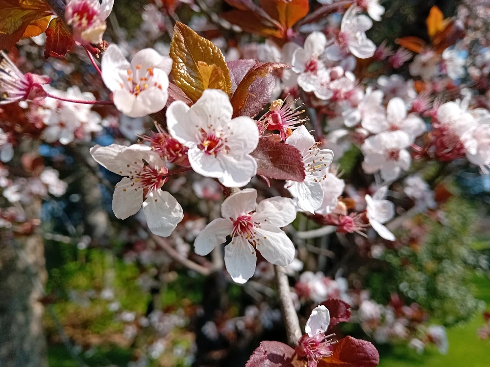 Immagine caricata da Giuseppe