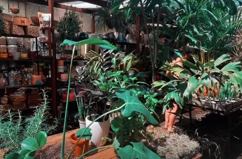 Image uploaded by Quinn