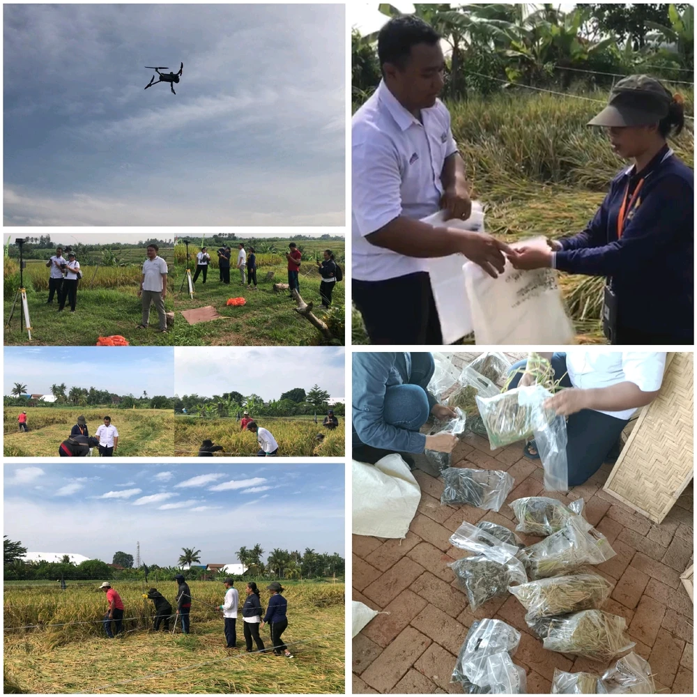 Gambar diunggah oleh Nurhutomo