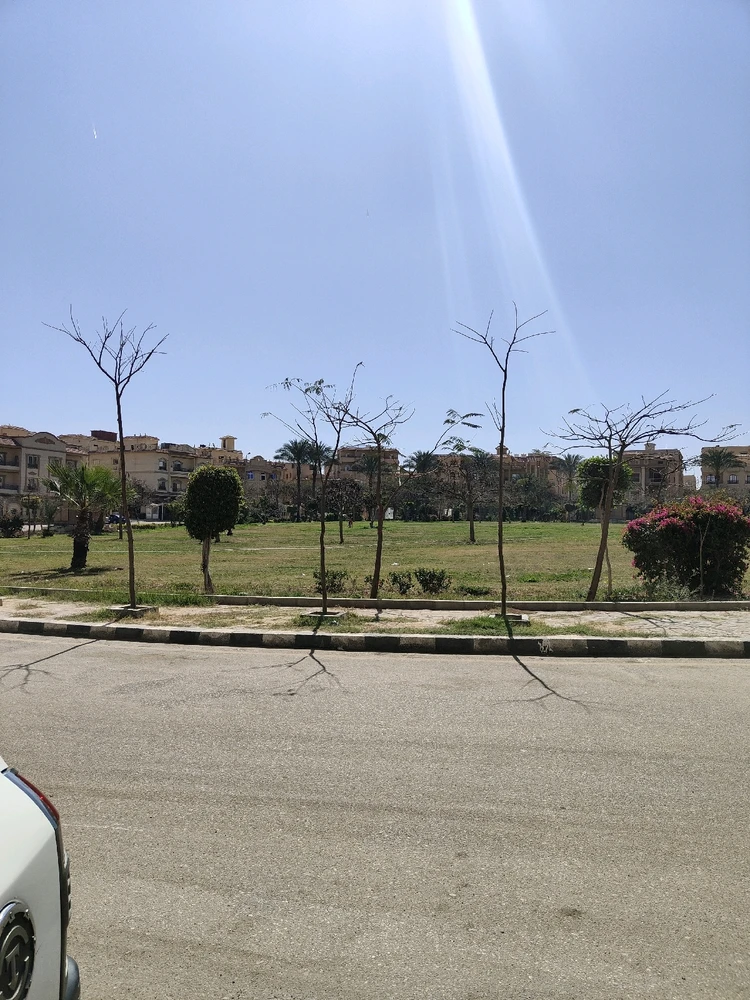 تجربة علمية بعلم النفس