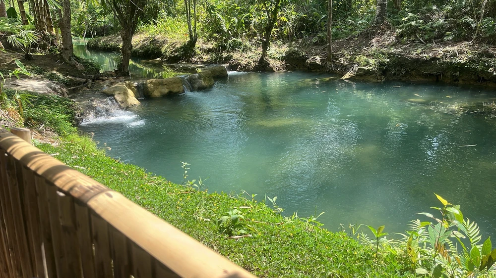 Image uploaded by Roz