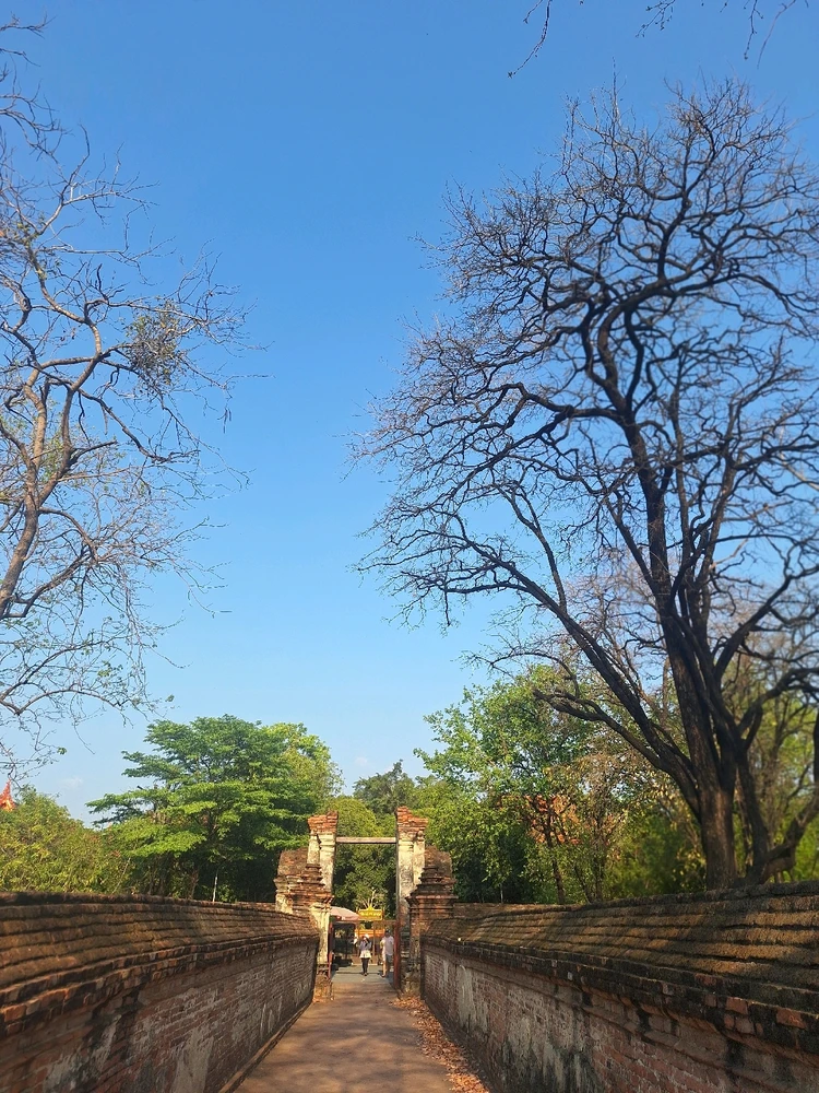 Image uploaded by Mera