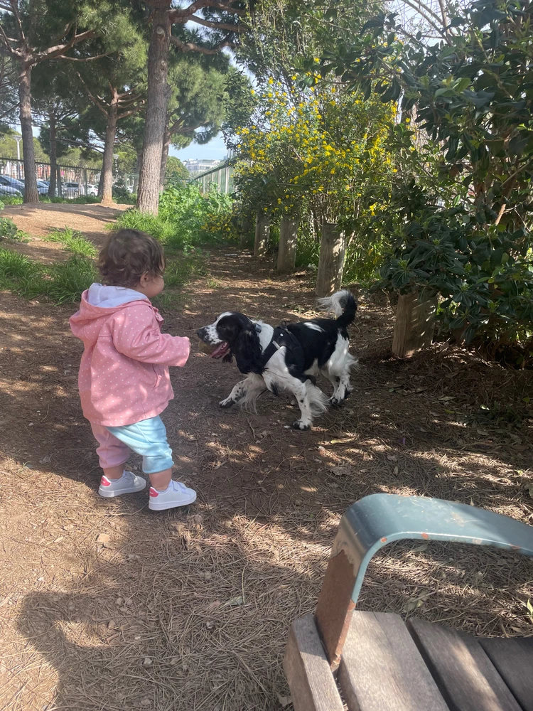 Image ajoutée par Samantha