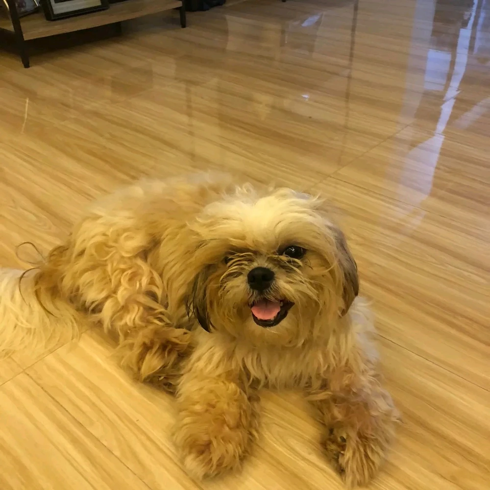 由Mahal上传的图片