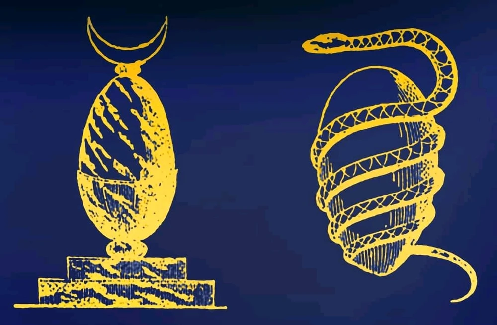 Image uploaded by Spencer